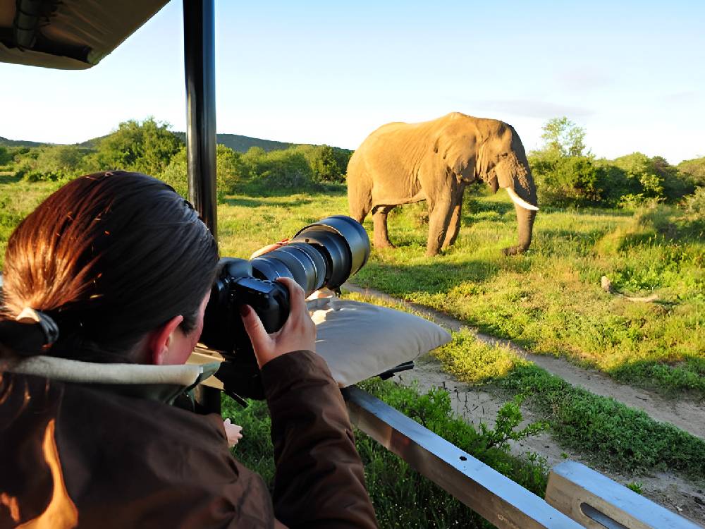 Guest capturing wildlife during a jungle safari near Pench Tiger Reserve while staying at The Bagh Villa Pench
