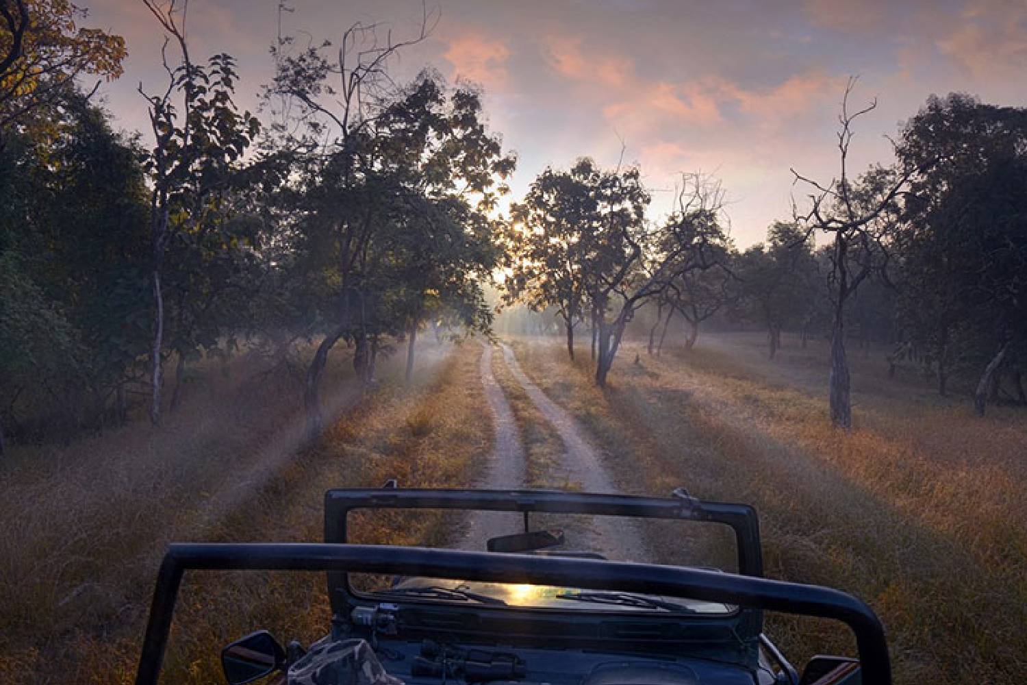 Best Resort for Wildlife Photographers in Pench: Why Your Stay Matters as Much as Your Safari